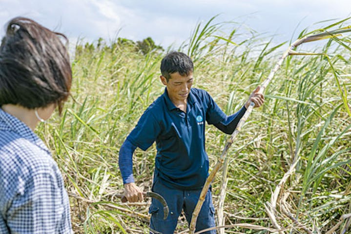 オルタナティブファーム宮古