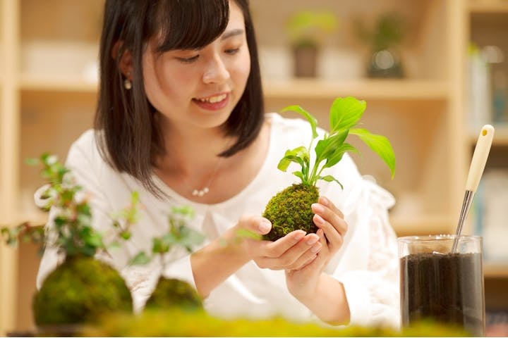 伊勢夫婦岩めおと横丁　めおと岩アクティビティ