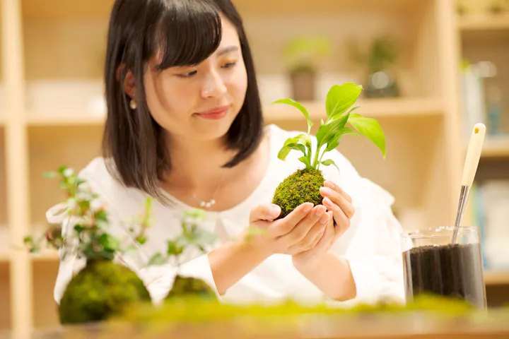 東海 苔玉作り 盆栽体験 いつでも 1人の検索結果 全3件 アソビュー