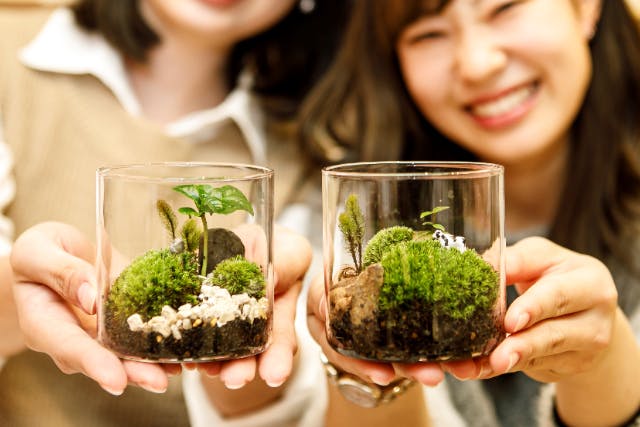 【三重・伊勢・苔テラリウム】『伊勢夫婦岩めおと横丁』で三重の苔を使った「苔テラリウムづくり」体験をしてみませんか？