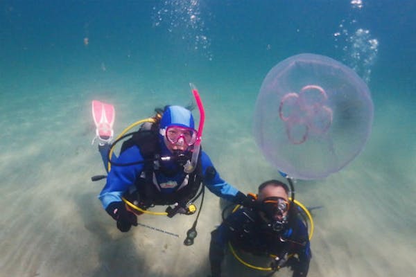 鹿児島・南さつま・ライセンス取得】楽しみ広がる！オープン