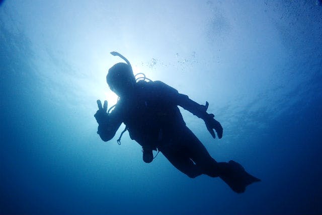 【鹿児島・南さつま・体験ダイビング】海の世界をのぞきに行こう！体験ダイビング