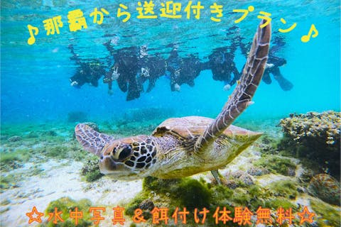 【沖縄・那覇近郊・シュノーケリング】ホテル送迎付き★シュノーケル体験トロピカル探検コース★写真撮影&餌付け付