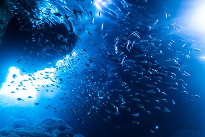 沖縄 伊良部島 シュノーケリング カラフルな魚達に会おう 2組最大8名様までの少人数制シュノーケルツアー ビーチエントリー アソビュー 沖縄 伊良部島 シュノーケリング カラフルな魚達に会おう 2組最大8名様までの少人数制シュノーケルツアー ビーチエントリー アソビュー