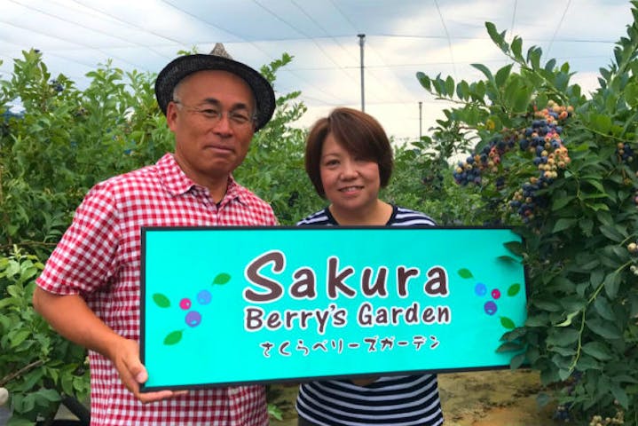 Sakuraberry Sgarden サクラベリーズガーデン ネット予約ならアソビュー