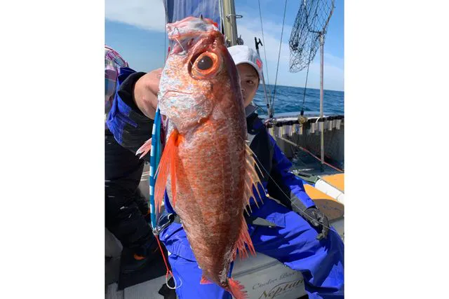 千葉 船橋 乗合8時間 船釣り 狙うは真鯛 初心者の方も大歓迎な 海釣り体験乗り合い8時間 アソビュー