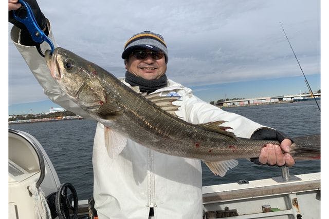 千葉 船橋 乗合5時間 船釣り 初心者さんにおすすめ クルーザーでシーバス釣り体験5時間 アソビュー