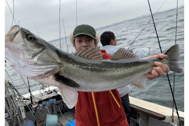 千葉 船橋 乗合5時間 船釣り 初心者さんにおすすめ クルーザーでシーバス釣り体験5時間 アソビュー