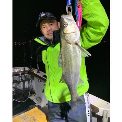 千葉 船橋 乗合5時間 船釣り 初心者さんにおすすめ クルーザーでシーバス釣り体験5時間 アソビュー 千葉 船橋 乗合5時間 船釣り 初心者さんにおすすめ クルーザーでシーバス釣り体験5時間 アソビュー