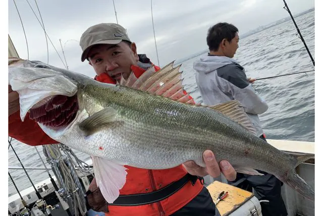 千葉 船橋 乗合5時間 船釣り 初心者さんにおすすめ クルーザーでシーバス釣り体験5時間 アソビュー