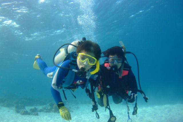 【静岡・伊東・体験ダイビング】心躍る海中世界で体験ダイビング（写真データ付き♪）