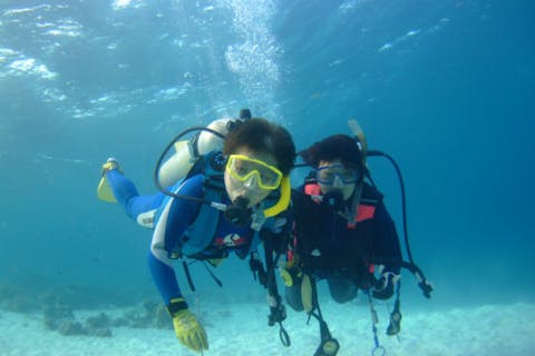 【静岡・伊東・体験ダイビング】心躍る海中世界で体験ダイビング（写真データ付き♪）