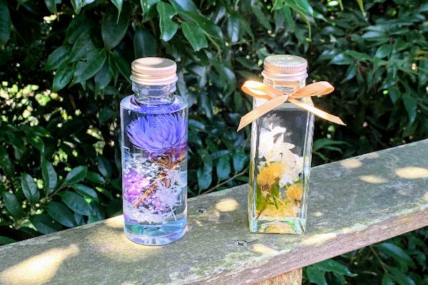 神奈川・逗子・ハーバリウム】植物、色、光を楽しむインテリア・ハー