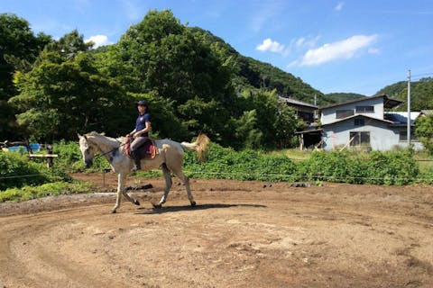 関東 乗馬 体験 ダイエット効果も！東京都内～関東近郊で乗馬＆ホーストレッキングができるスポット7選