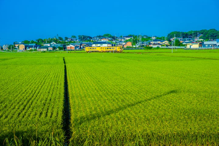 長崎 諫早 観光列車 のどかな風景と地元グルメを堪能 しまてつカフェトレインランチコース アソビュー