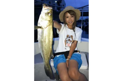 川崎のアウトドア体験プラン情報満載 簡単ネット予約 アソビュー