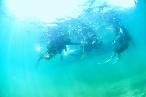 【高知・土佐清水・体験ダイビング】色とりどりの熱帯魚に出会える！体験ダイビング