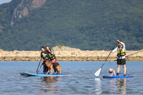 【和歌山・串本・SUP】奇岩が並ぶ絶景スポットをSUPで周遊！「橋杭岩」ツアー