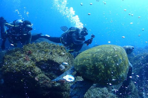 【東京・式根島・ファンダイビング】未来の海を体感！？世界でも珍しい海底から二酸化炭素が吹き出すCO2シープを学ぶ！エコダイビング
