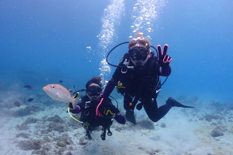 【東京・式根島・体験ダイビング】白い砂浜からビーチイン！のんびり体験ダイビング