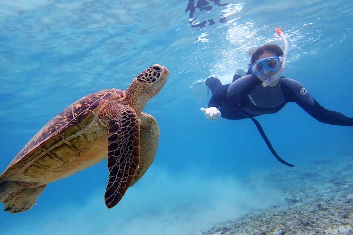 鹿児島 奄美 スキンダイビング 海の中を自由に泳ごう 初心者歓迎スキンダイビングレッスン付き 写真 動画無料プレゼント アソビュー