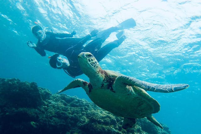 OCEANZ オーシャンズの割引プラン