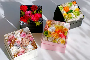 東京・巣鴨・プリザーブドフラワー】枯れない魔法のお花「プリザーブド