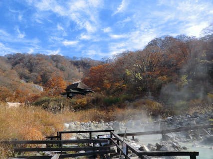 【秋田・田沢湖・ガイドツアー】壮大な自然と温泉を巡る乳頭温泉郷とブナの森ツアー
