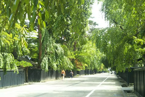 【秋田・角館・ガイドツアー】いにしえの歴史をめぐる抱返り渓谷と角館ガイドツアー