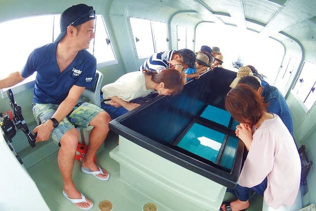 【沖縄・名護・グラスボート】海の中を船から観察！餌付け付きアオサンゴグラスボート
