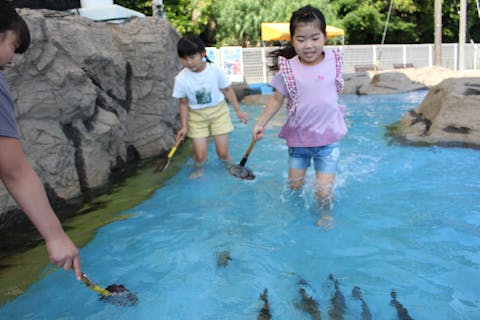 三重・志摩・磯遊び】何時でも大丈夫！小さなお子様から大人まで楽しめる！わんぱく磯で磯体験｜アソビュー！