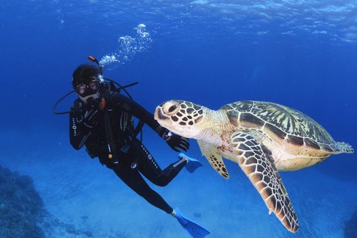 伊豆アクアマリン