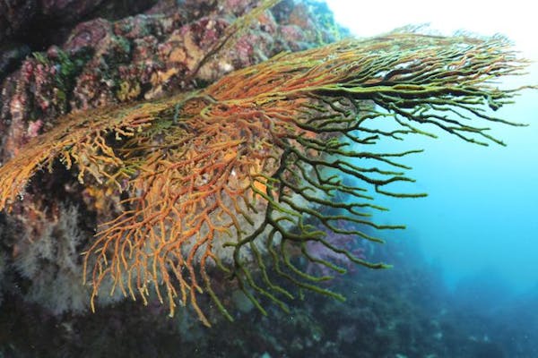 伊豆アクアマリン｜ネット予約ならアソビュー！