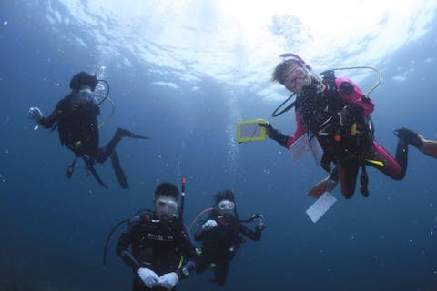 【静岡・伊豆・体験ダイビング】水中世界を感じてみよう！伊豆の海で体験ダイビング