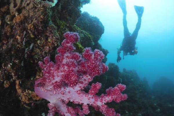 伊豆アクアマリン｜ネット予約ならアソビュー！