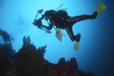 【静岡・伊豆・ファンダイビング】思う存分伊豆の海を堪能！ファンダイビングプラン＜器材レンタル込み＞1ビーチダイブ