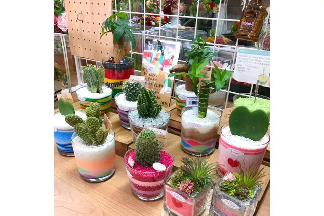 福岡県 福岡市 手作り雑貨 カラフルで可愛いカラーサンドアート体験 1個 アソビュー