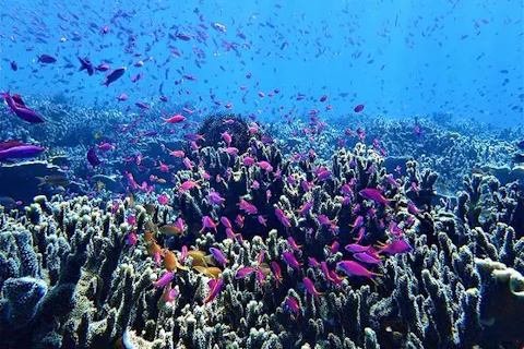 川崎のアウトドア体験プラン情報満載 簡単ネット予約 アソビュー