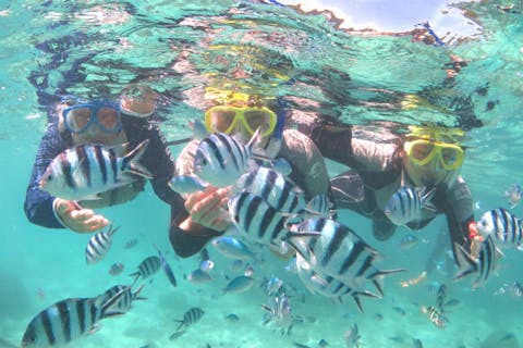 【ジャングリア沖縄に近い本部町でシュノーケリング】水納島や瀬底島で泳ごう！ボートシュノーケル1回