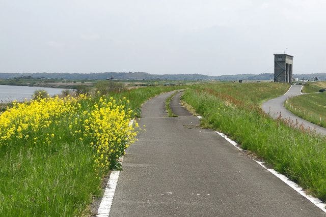 【千葉・白井・サイクリング】手ぶらOK！利根川＆印旛沼サイクリングロード55km