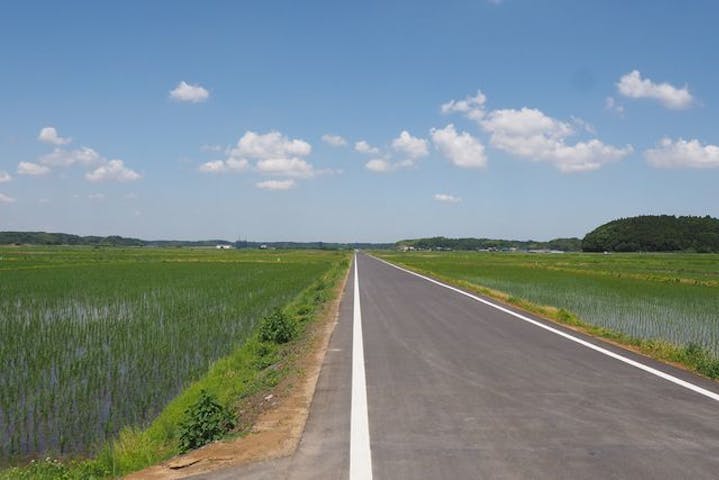 千葉 成田 サイクリング 成田モーニングライド35km 農園のジュース付 アソビュー