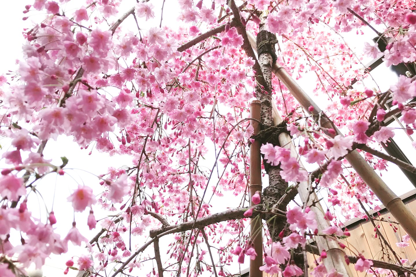 京都市 手作りアクセサリー 5種からお好きなデザインを 本格京素材を使った和モダンアクセサリー作り 1個 アソビュー