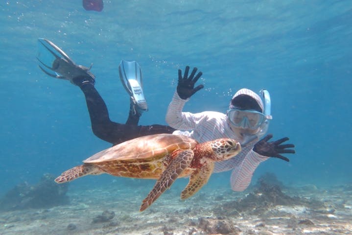 沖縄 宮古島 シュノーケリング 貸切プライべートツアー ウミガメ探そう 3歳から楽しめるシュノーケルツアー アソビュー