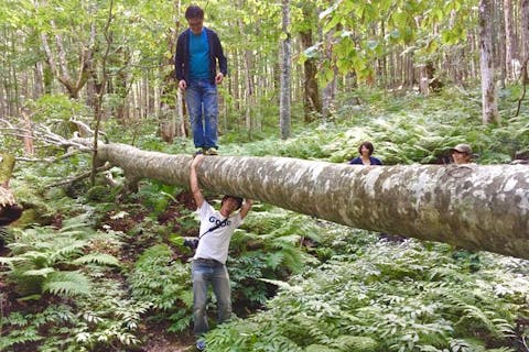 【岩手・西和賀・エコツアー】奥羽山脈に広がるブナ林で巨木を巡る！ネイチャーガイド