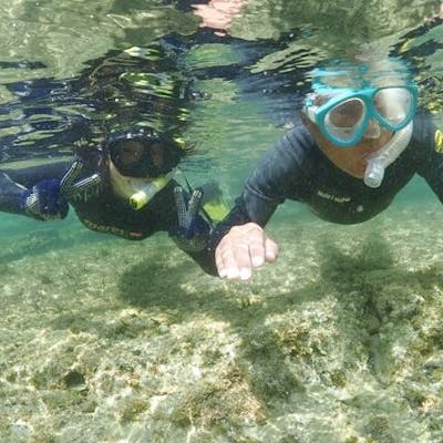 千葉 勝浦 守谷海岸 シュノーケリング 日本屈指の透明度 守谷海岸でシュノーケリング アソビュー