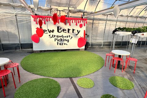 【滋賀・竜王・いちご狩り】60分食べ放題★練乳チョコかけ放題×13品種食べ比べ！アウトレット徒歩圏＆映えハウスで楽しむ体験