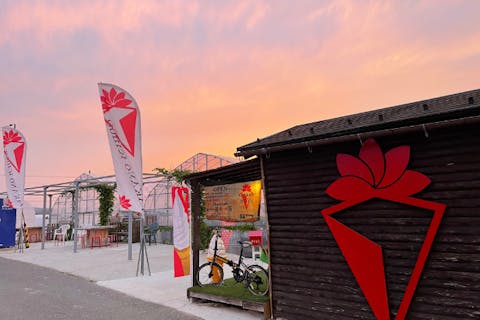 【滋賀・竜王・いちご狩り】もぎたていちごを食べ比べ！45分食べ放題（練乳＆チョコ食べ放題）（こちらはワンちゃん利用可能ハウスです！）