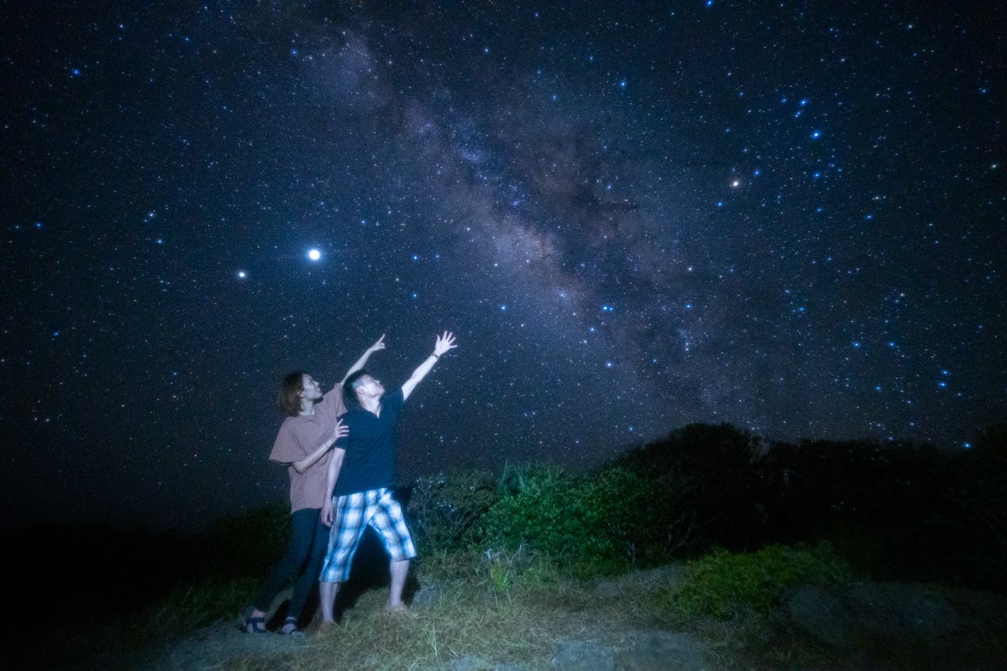 東京 小笠原 ナイトツアー 固有種観察や星空観察 魅力が詰まったナイトツアー アソビュー