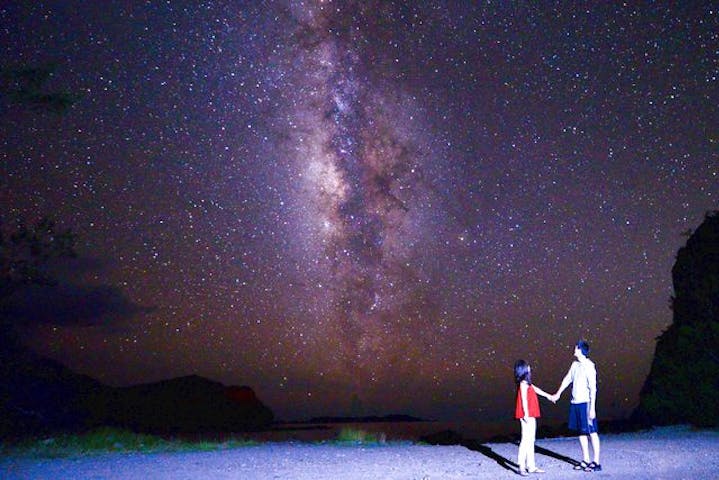 東京 小笠原 ナイトツアー 固有種観察や星空観察 魅力が詰まったナイトツアー アソビュー