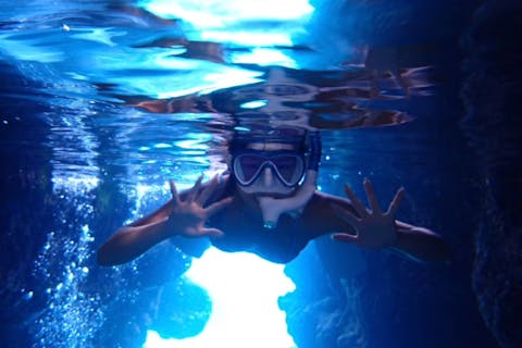 【宮古島/半日】サファイアケイブシュノーケル＆洞窟探検！青の洞窟×無数の魚！送迎相談OK&写真データ無料！